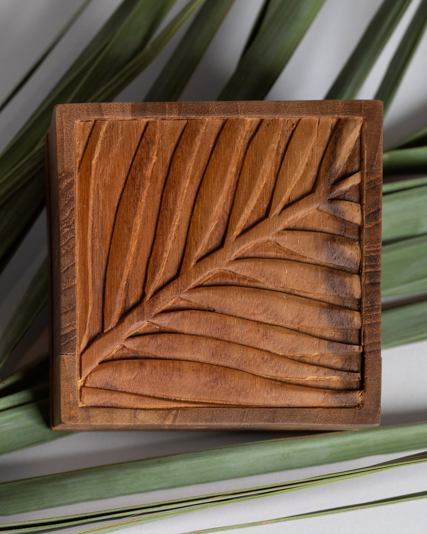 Nakhl - Palm Tree